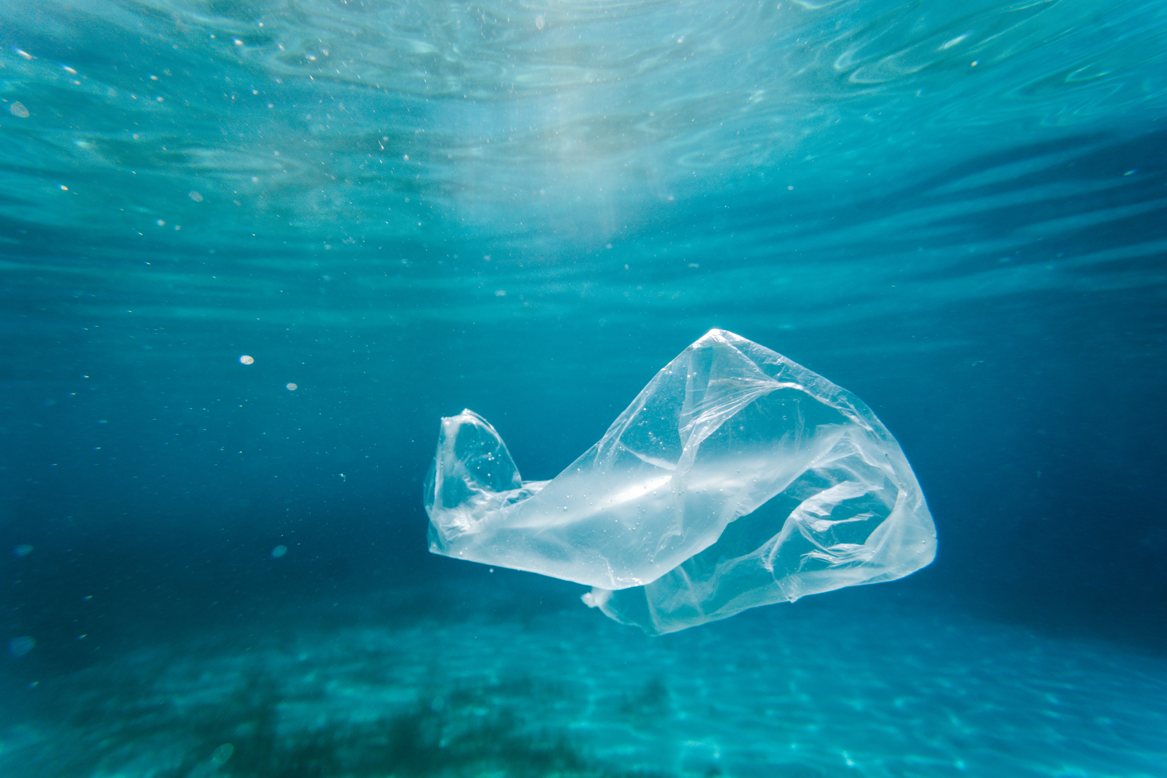 Ozean-Plastik